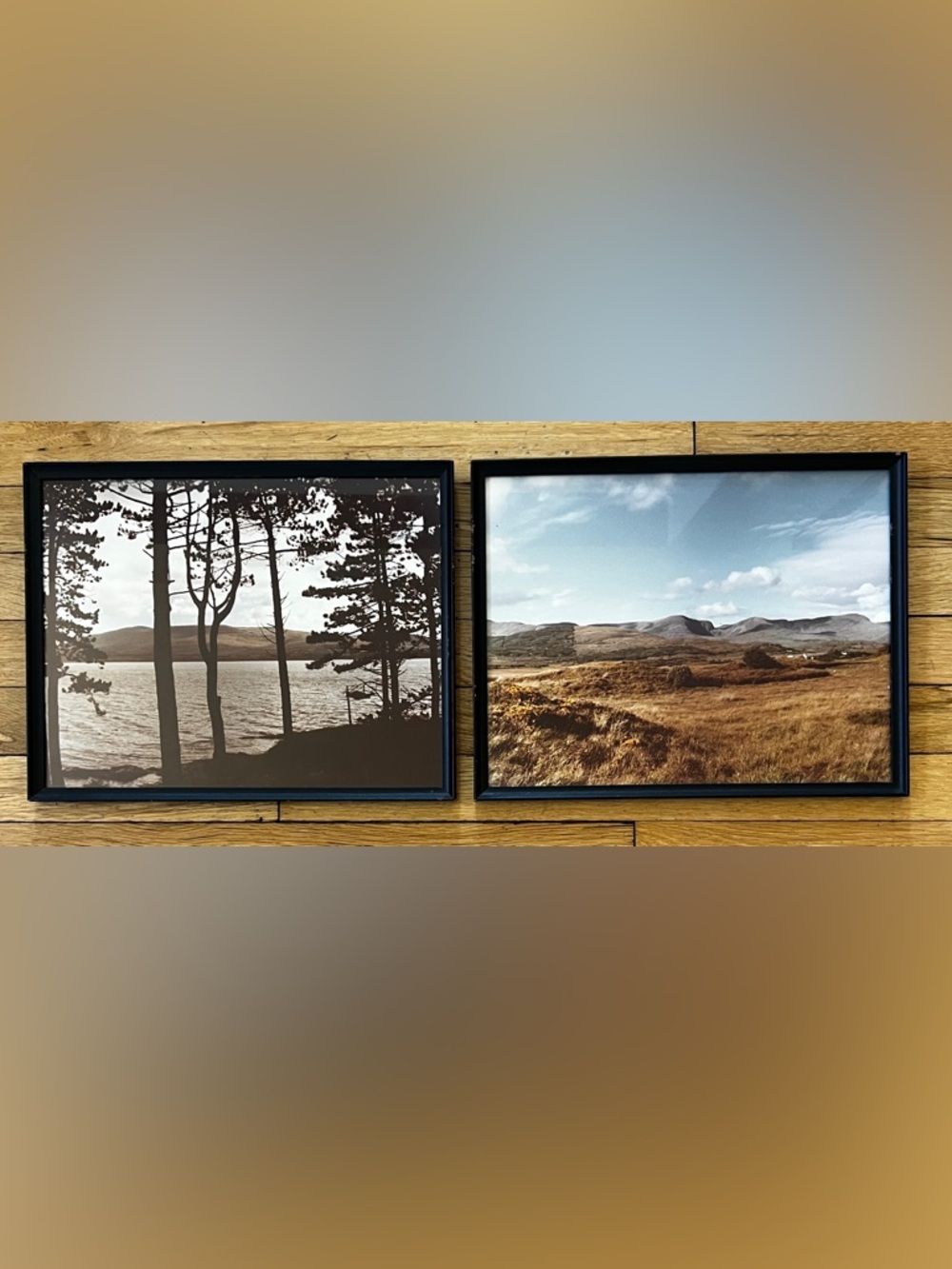 Vintage 1970s Landscape Study | Set of 2